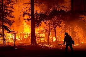 Največji požar v Kaliforniji se je združil z manjšim | Dnevnik